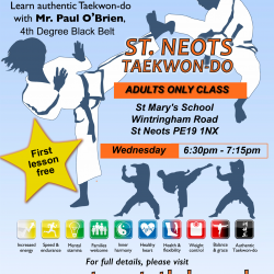 Adult TKD class